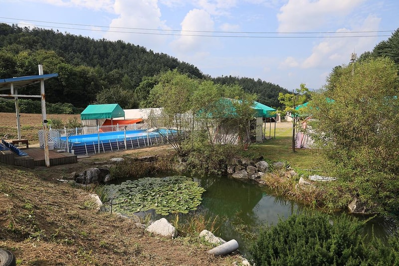 링크독애견파크 글램핑&오토캠핑장 시설 사진 15