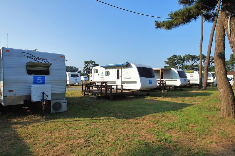 몽산포 홀리데이파크 시설 사진 4