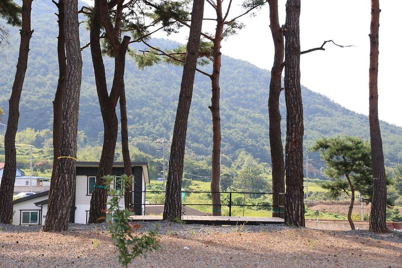 초록여울 캠핑장 시설 사진 15