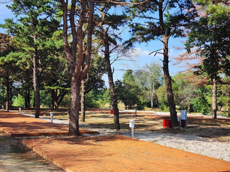 팜파스농원 시설 사진 19