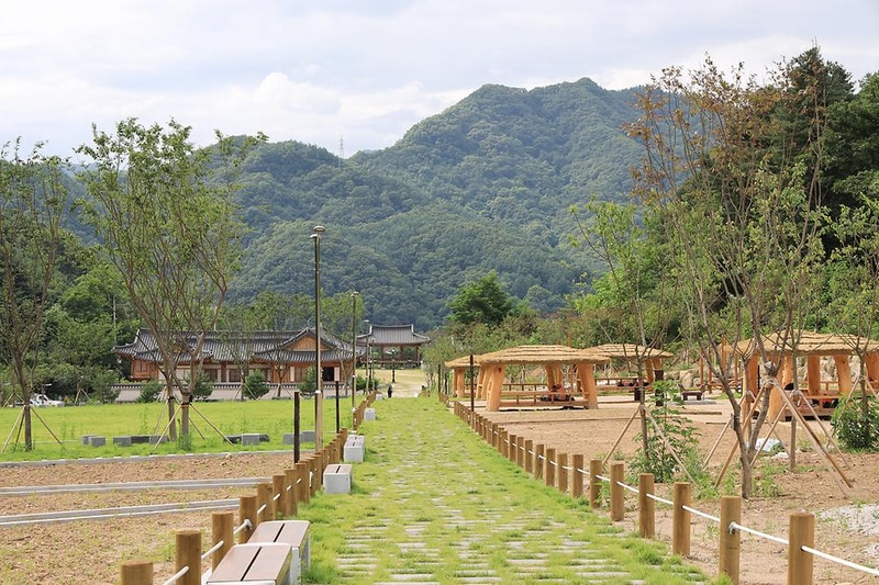 호명산잣나무숲속캠핑장 시설 사진 20