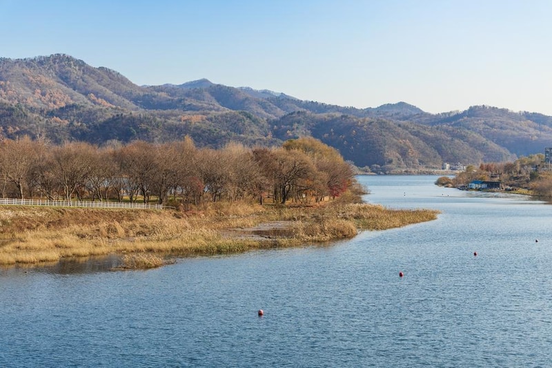 자라섬 캠핑장 시설 사진 56