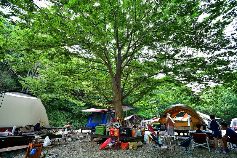 국립운장산자연휴양림 야영장 시설 사진 9