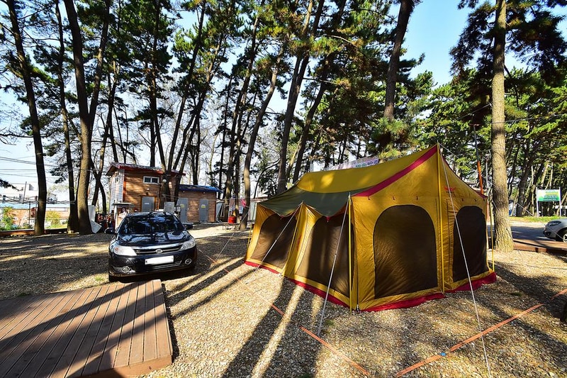 춘장대 중앙솔밭캠핑 시설 사진 1