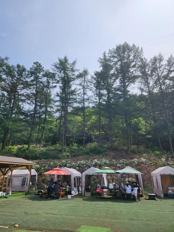 코알라캠핑장 시설 사진 15