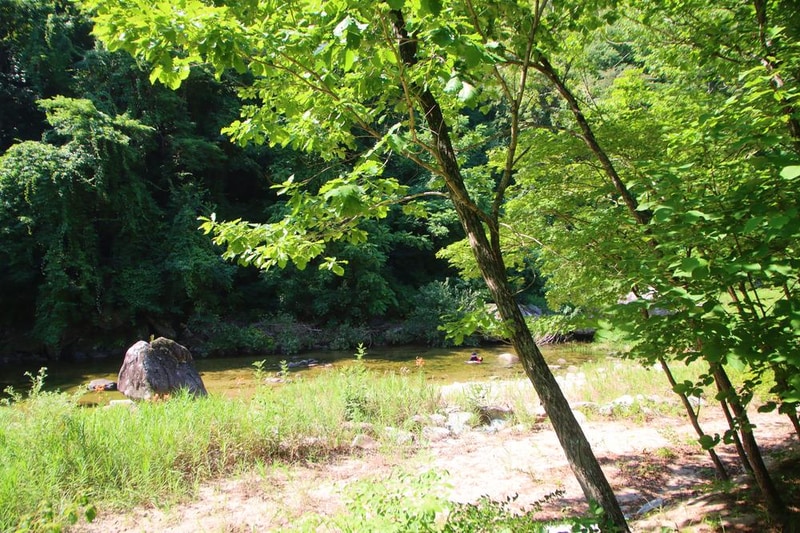 산내들 관광농원 시설 사진 7