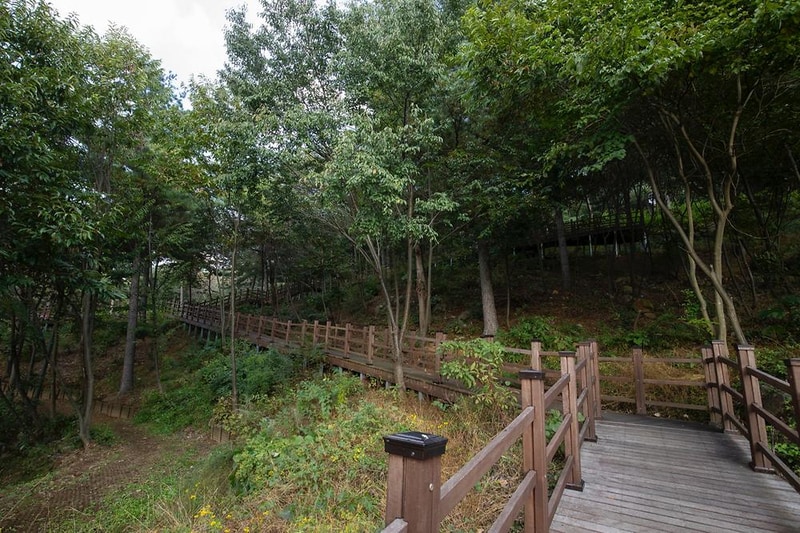 소요별앤숲테마파크 시설 사진 47