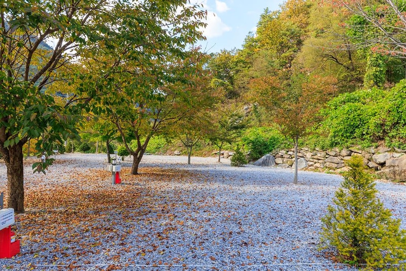 별하숲캠핑장 시설 사진 22