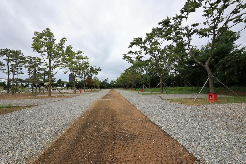 베르아델 승마클럽 시설 사진 12