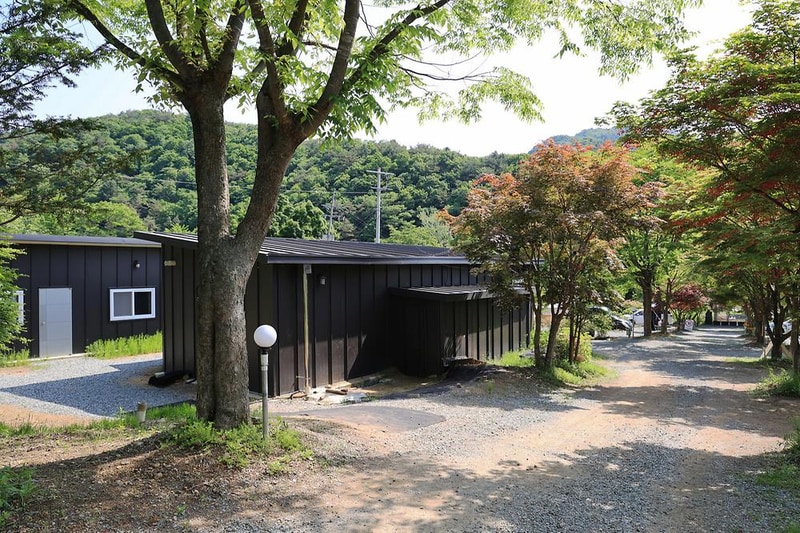 숲에서 놀자 시설 사진 7