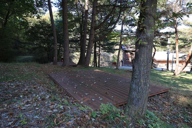 숲속행성 시설 사진 20