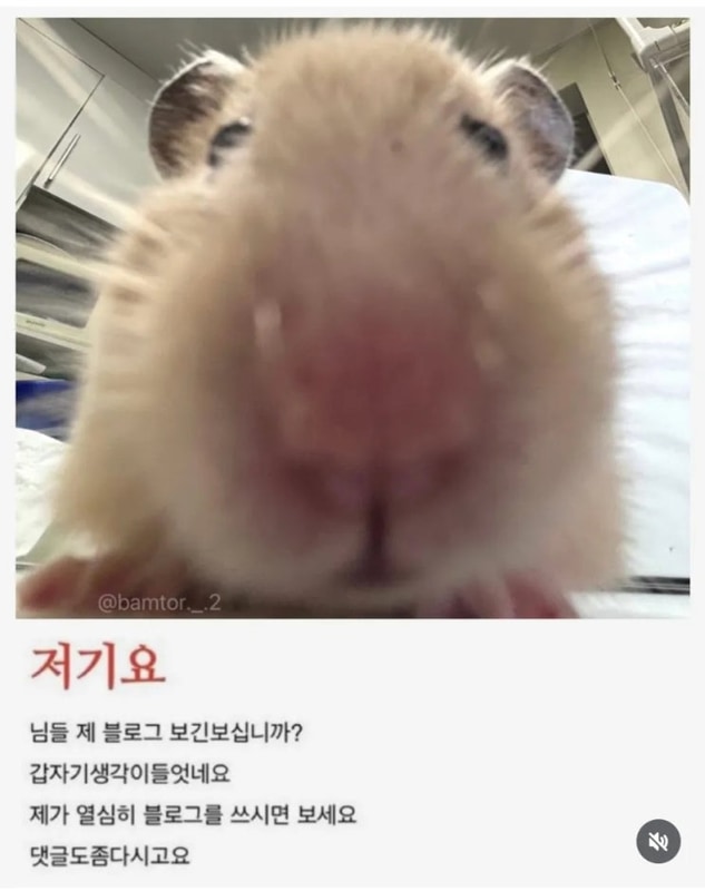 유포리아 글램핑 대표 사진