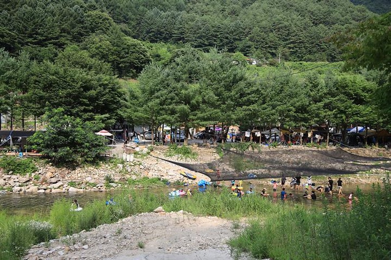 스카이 펜션&캠핑장 대표 사진