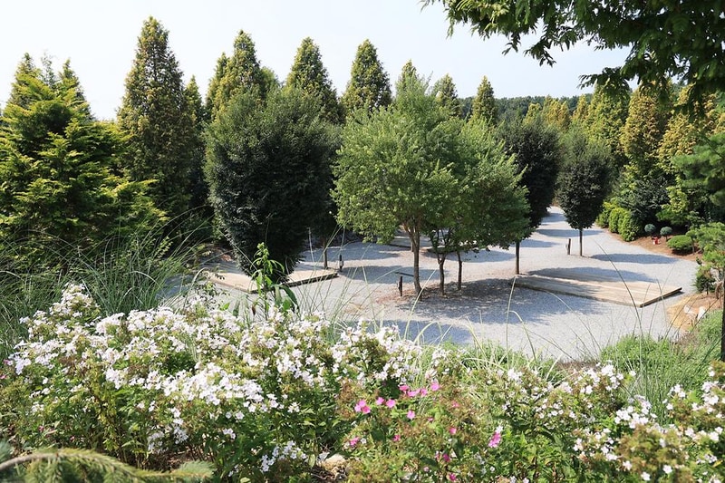 파이브이모션관광농원 시설 사진 7