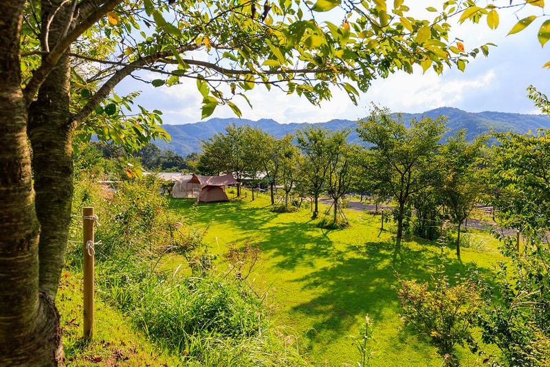 왕산골 관광농원 시설 사진 24