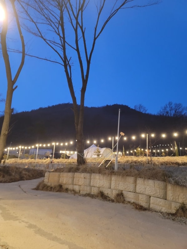 대이산 숲속 캠프
