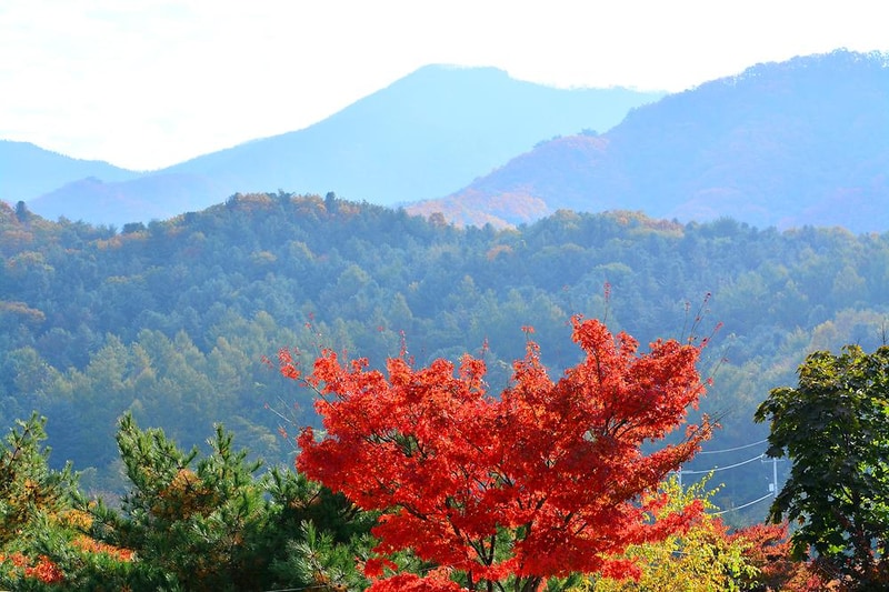 솔바람캠핑장 시설 사진 3