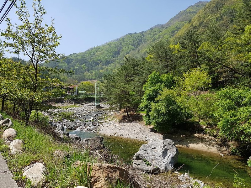 영월아트앤캠프장 시설 사진 17