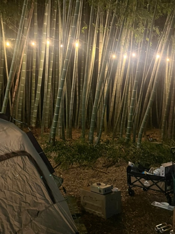 담양 대나무골 야영장