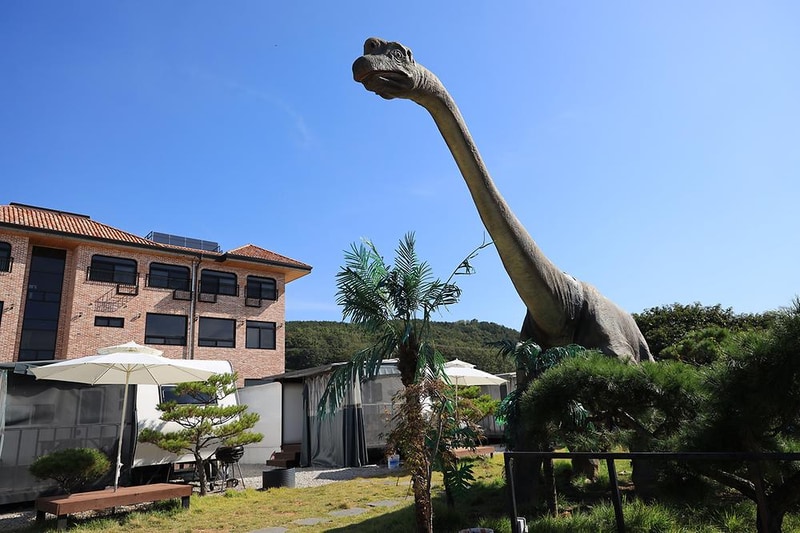 쥬라기 카라반 시설 사진 4