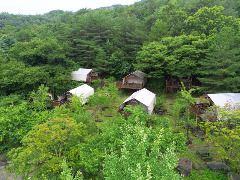 청풍월드니스글램핑 시설 사진 31