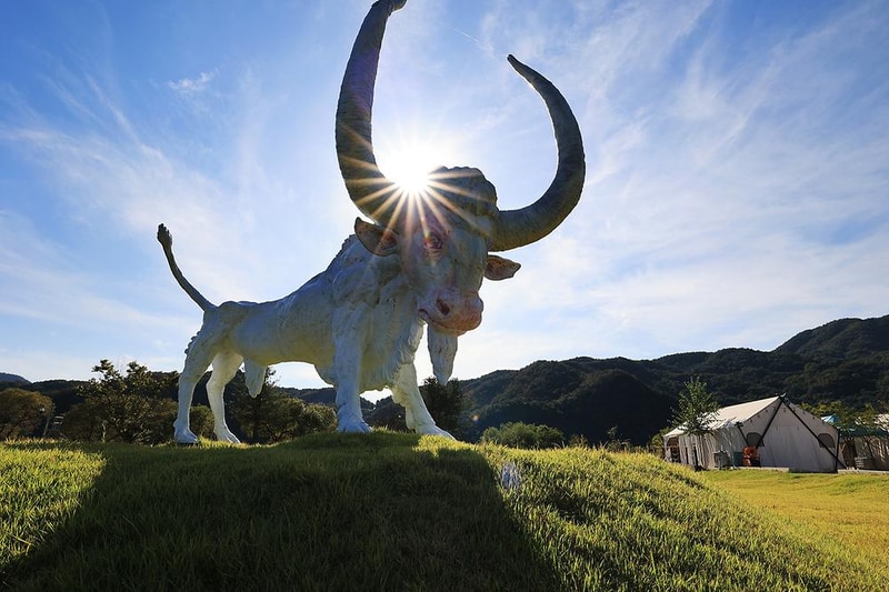 리버위드 글램핑 시설 사진 5