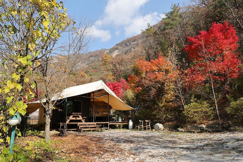 벤캠프(Ben Camp) 시설 사진 8