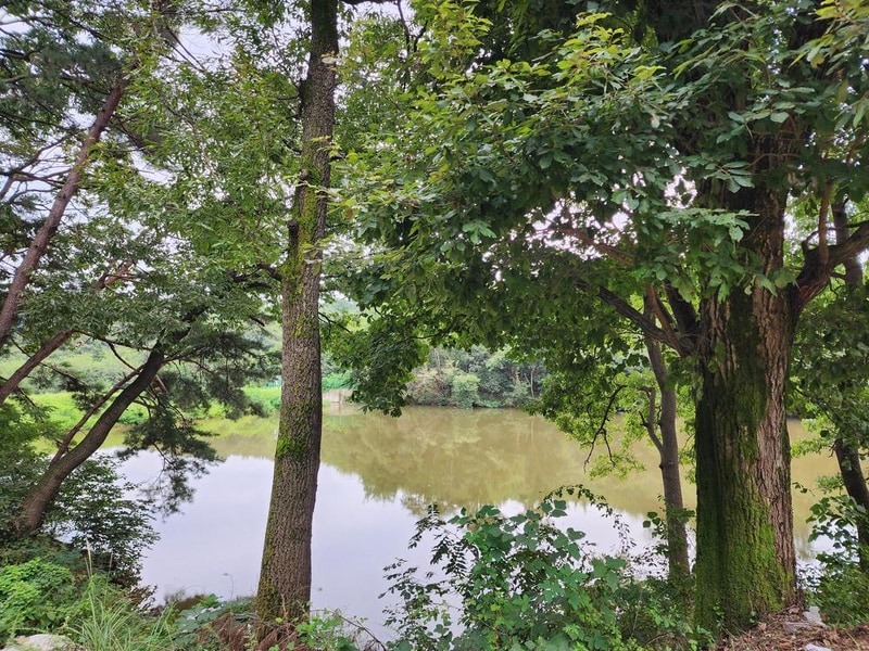 용인반딧불캠핑장 시설 사진 19