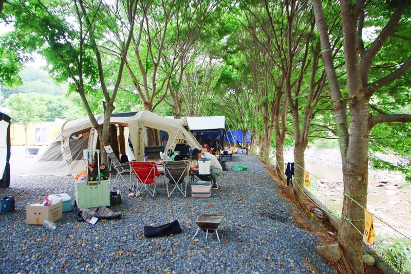 법흥계곡캠핑오늘 시설 사진 15