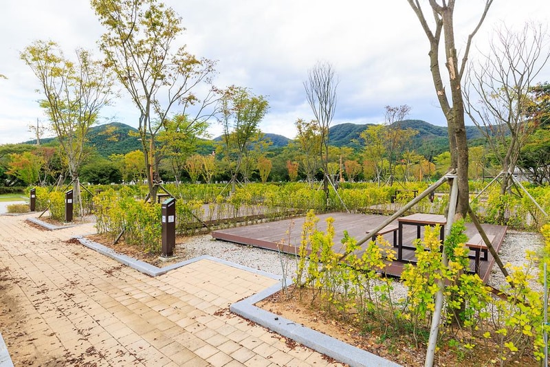 내장산국립공원 내장호야영장 시설 사진 26