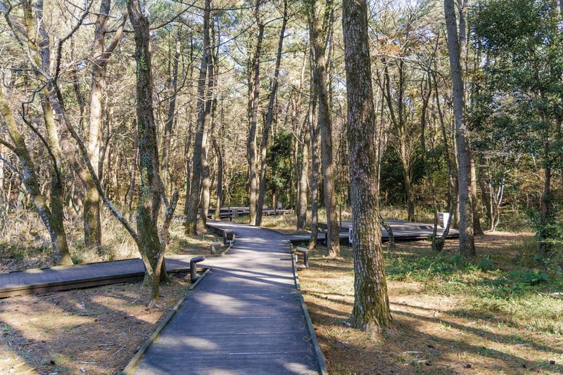 붉은오름 자연휴양림 숲속 야영장 시설 사진 15