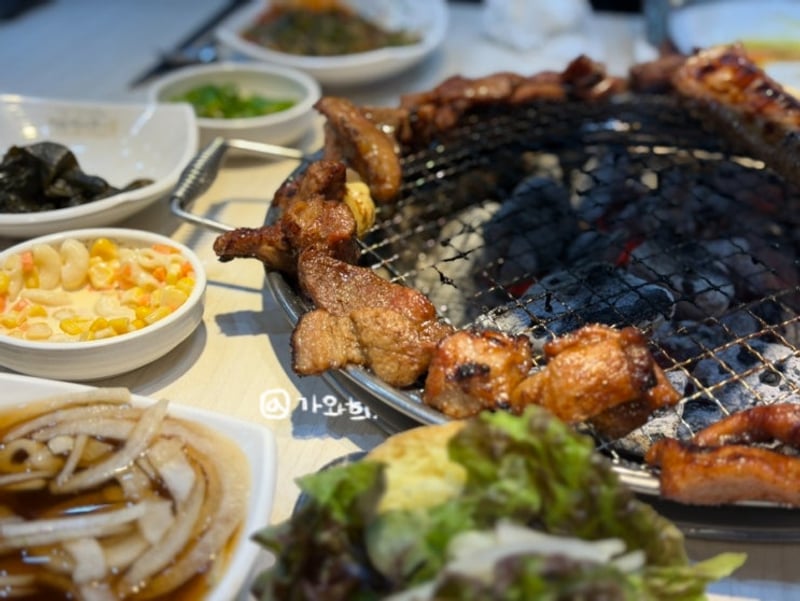 원주 반계리 은행나무