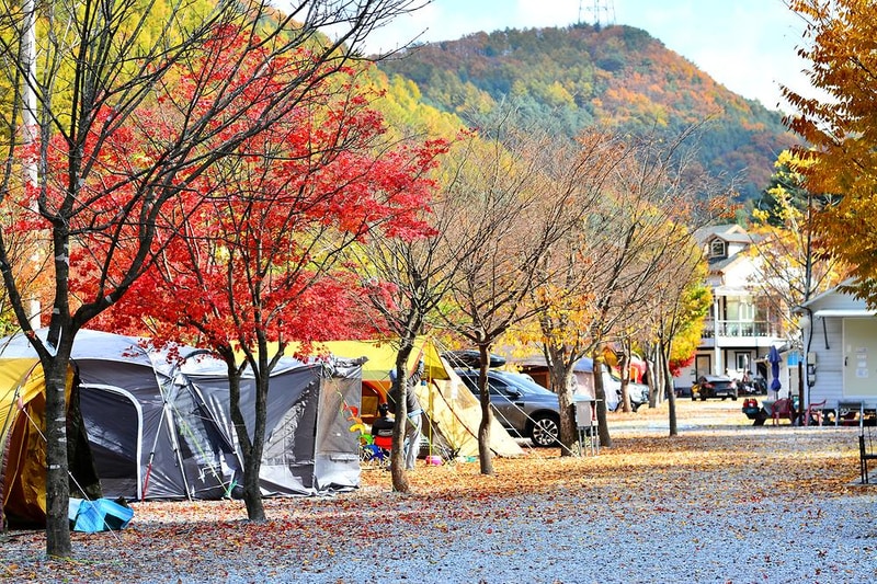 늘푸른쉼터 시설 사진 1