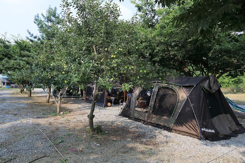 자연애캠핑장 시설 사진 21