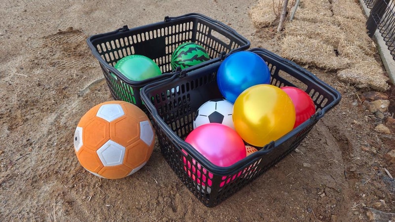 대부도 글램탑 럭셔리 글램핑 & 키즈 수영장 캠핑장 시설 사진 29