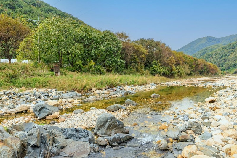 포레스트캐빈앤캠프 시설 사진 5