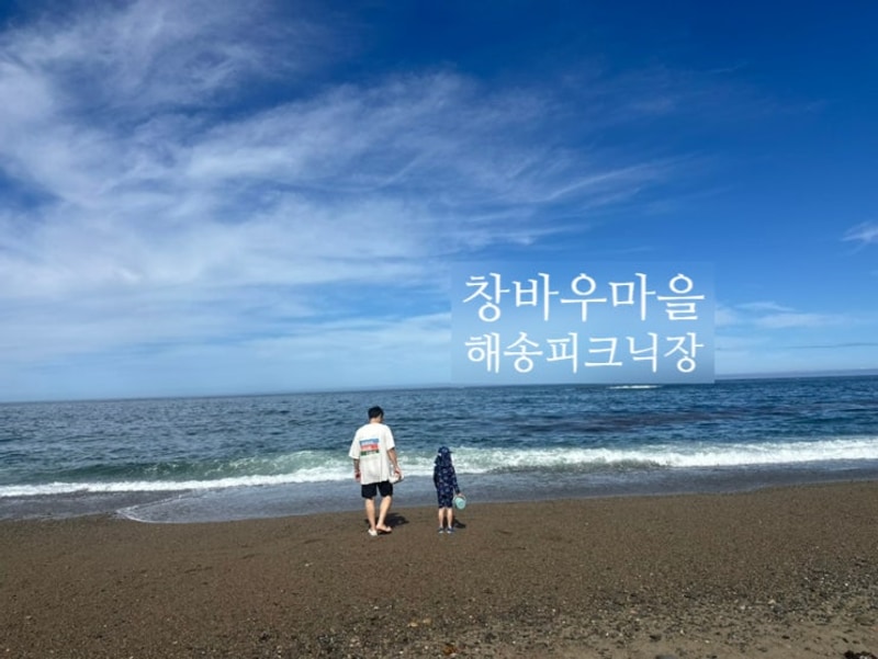 포항 남구 장기면 신창... 근처, 창바우 마을 해송피크닉장 캠핑