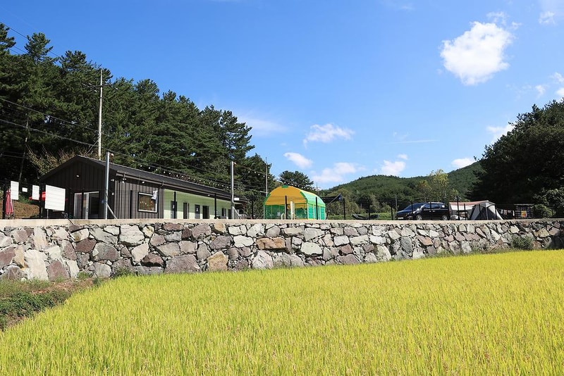 호노골 캠핑장 시설 사진 1