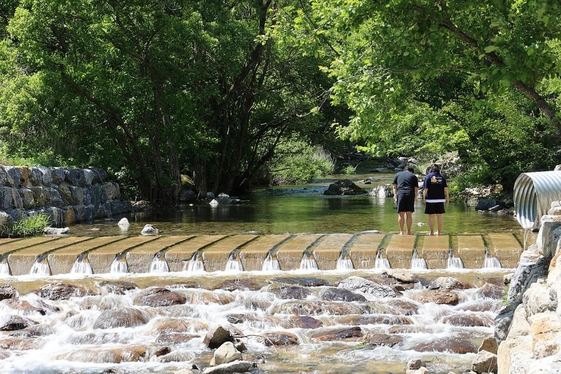 갯골자연휴양림 야영장 시설 사진 11