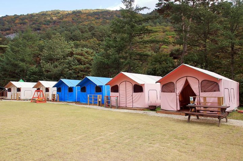 아우라지 글램핑 대표 사진