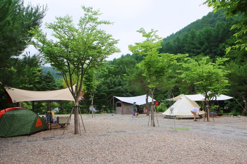 캠프 고토일 시설 사진 5