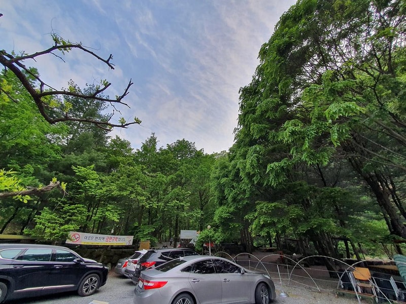 단양 천동계곡 캠핑장 그린농원 시설 사진 15