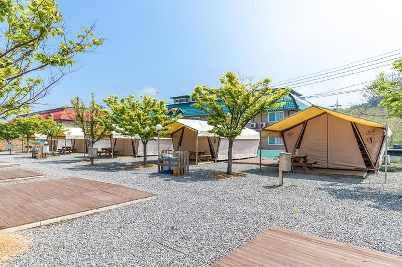 학암포나로야영장 대표 사진