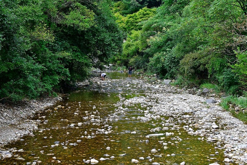 내장산국립공원 내장야영장 시설 사진 9