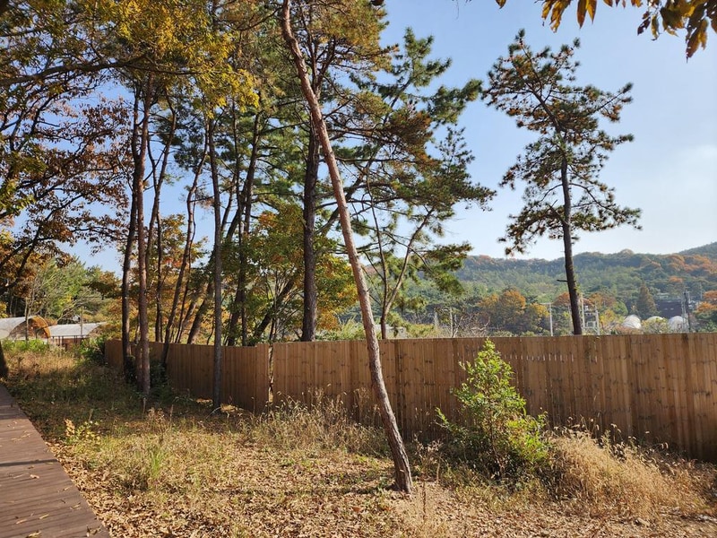 메리글램핑 시설 사진 18