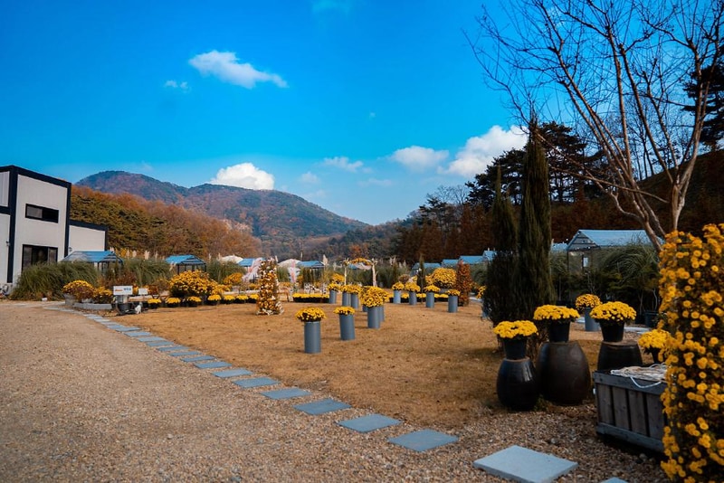 더힐링식물원 야영장 시설 사진 15