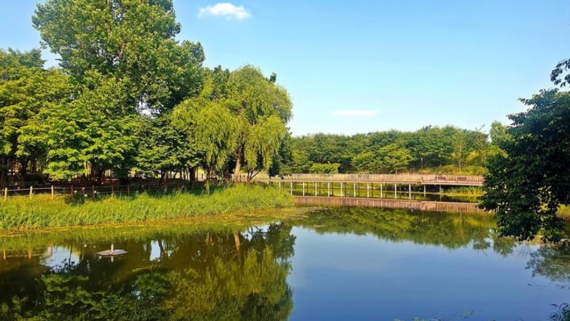 소풍정원 캠핑장