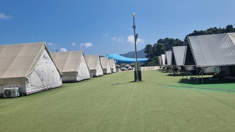 블루비치 관광농원 대표 사진