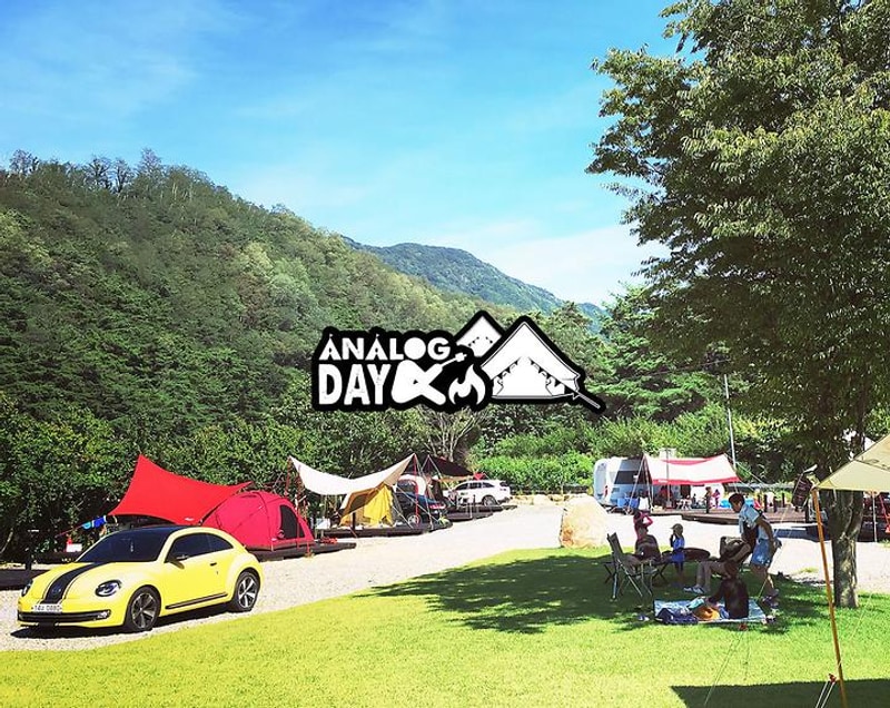 아날로그데이 대표 사진