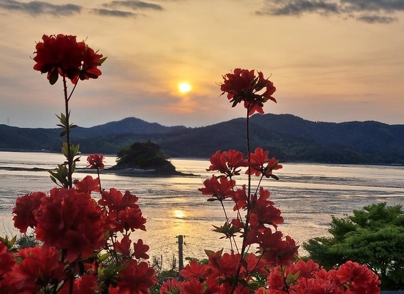 노을빛바다 캠핑장 시설 사진 1